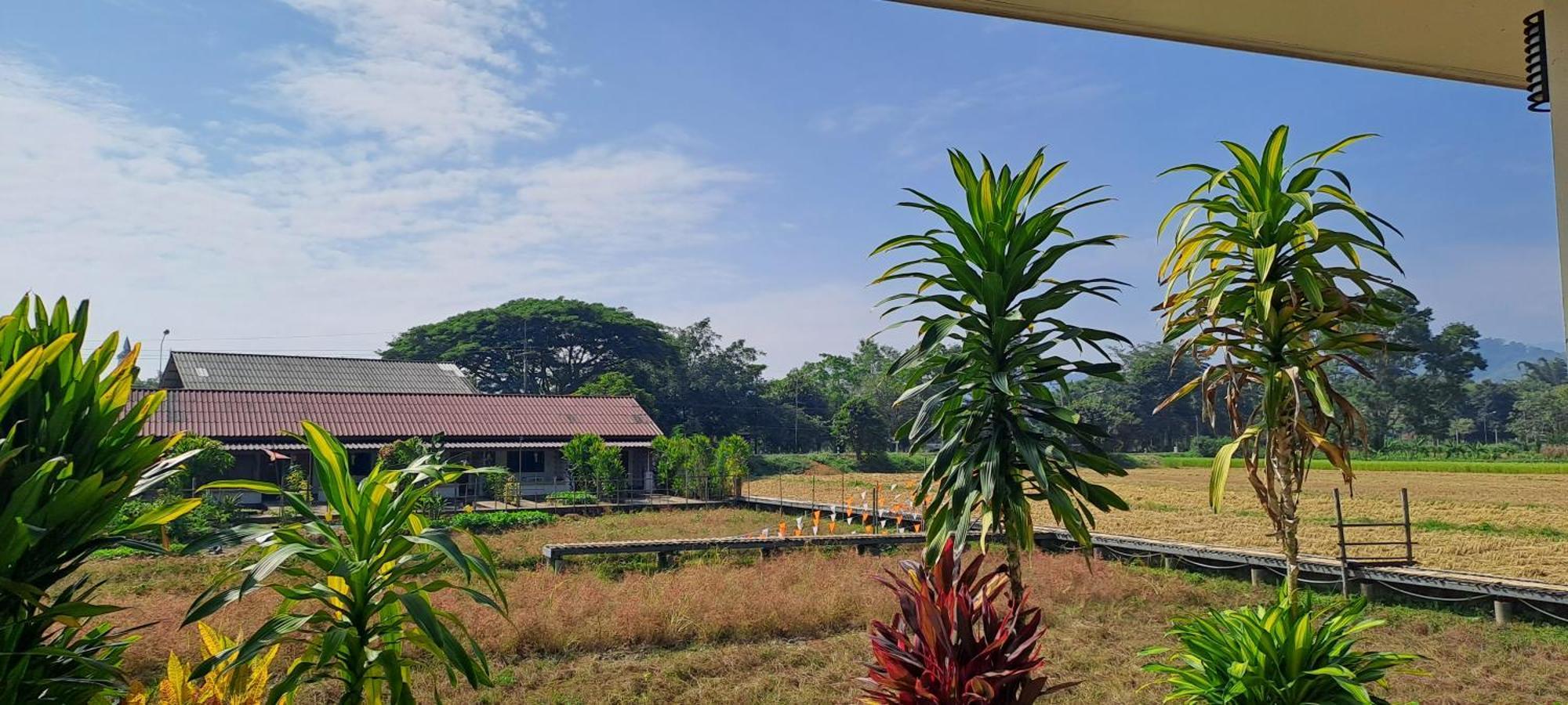 Ban Lom Jen Homestay Chiang Rai Buitenkant foto