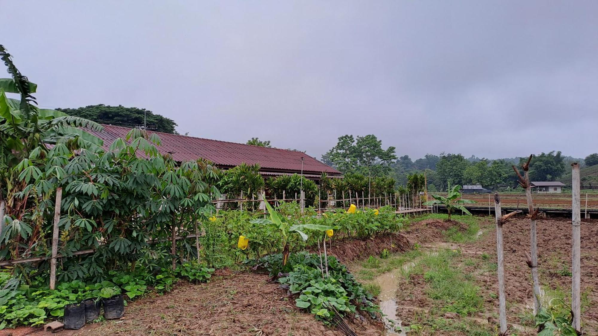 Ban Lom Jen Homestay Chiang Rai Buitenkant foto