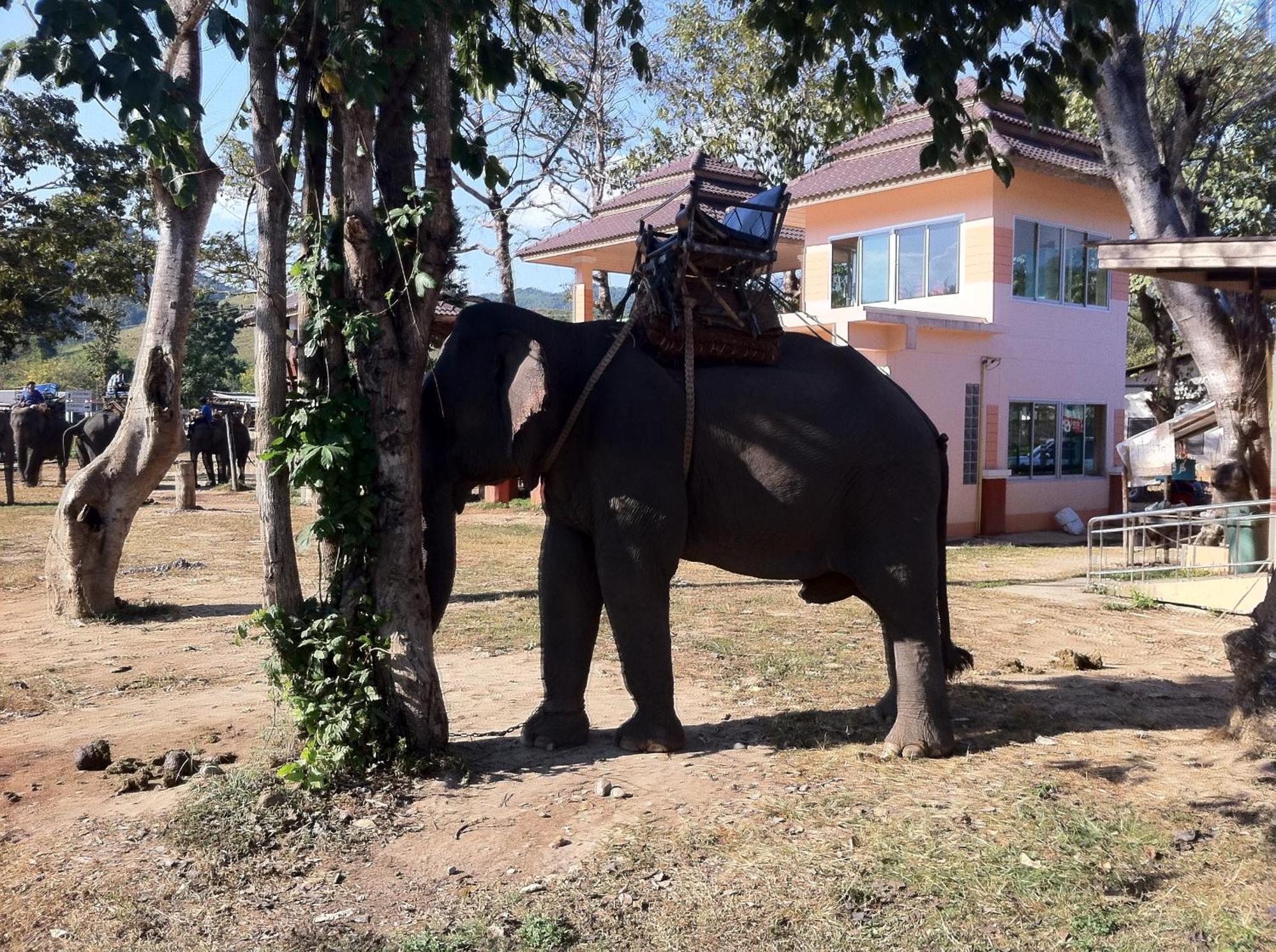 Ban Lom Jen Homestay Chiang Rai Buitenkant foto