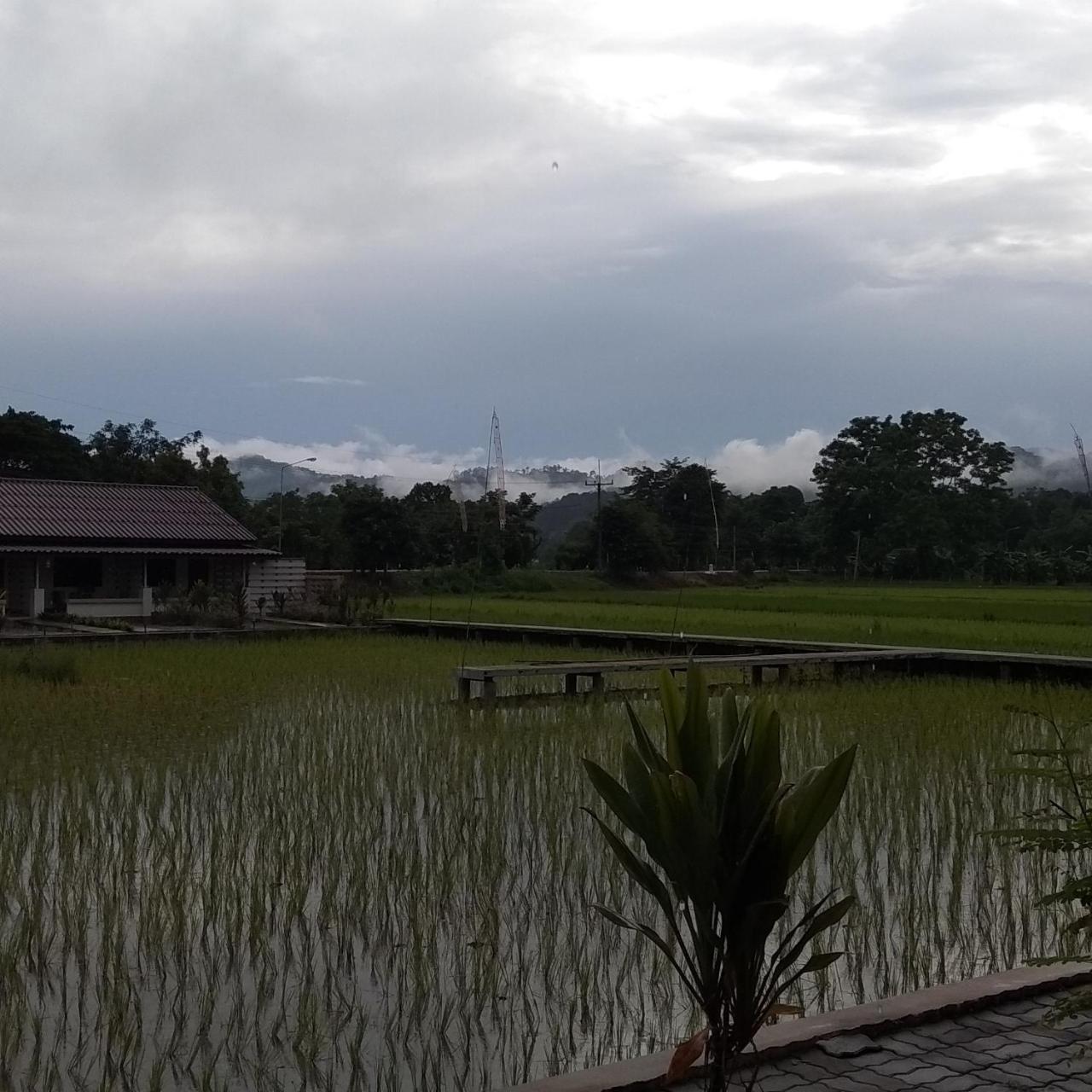 Ban Lom Jen Homestay Chiang Rai Buitenkant foto